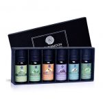 Lagunamoon Essential Oils Top 6 Gift Set Pure Essential Oils for Diffuser