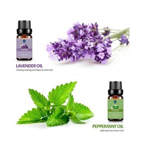 Lagunamoon Essential Oils Top 6 Gift Set Pure Essential Oils for Diffuser - Image 4