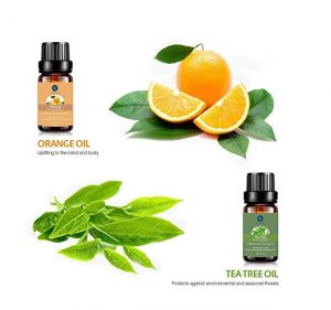 Lagunamoon Essential Oils Top 6 Gift Set Pure Essential Oils for Diffuser - Image 6