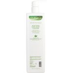 Aloetherapy Soothing Hair And Body Cleanse 33.8 Oz - Eufora By Eufora