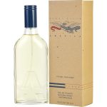 Edt Spray 5 Oz - America By Perry Ellis