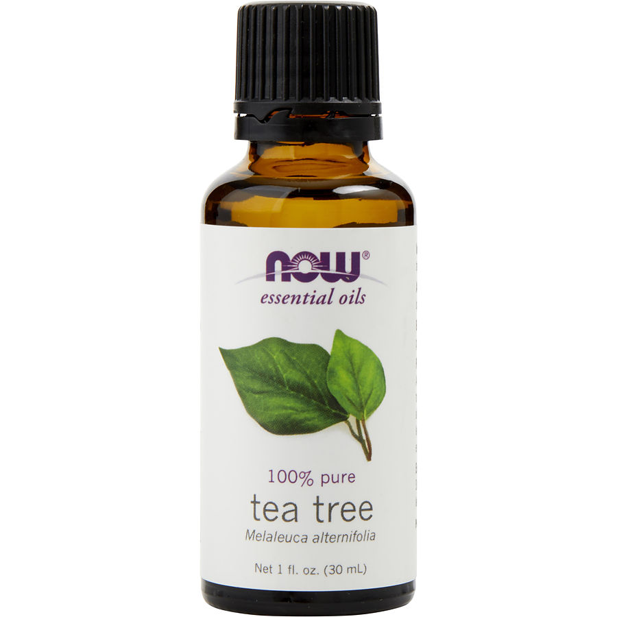 Tea Tree Oil 1 Oz - Essential Oils Now By Now Essential Oils Tea Tree Oil 1 Oz - Essential Oils Now By Now Essential Oils