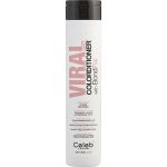 Viral Colorditioner Rose Gold 8.25 Oz - Celeb Luxury By Celeb Luxury